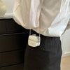 Acrylic Shoulder Bag for Women